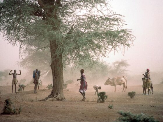 Climate Change in Kenya: Navigating the Path to Sustainability